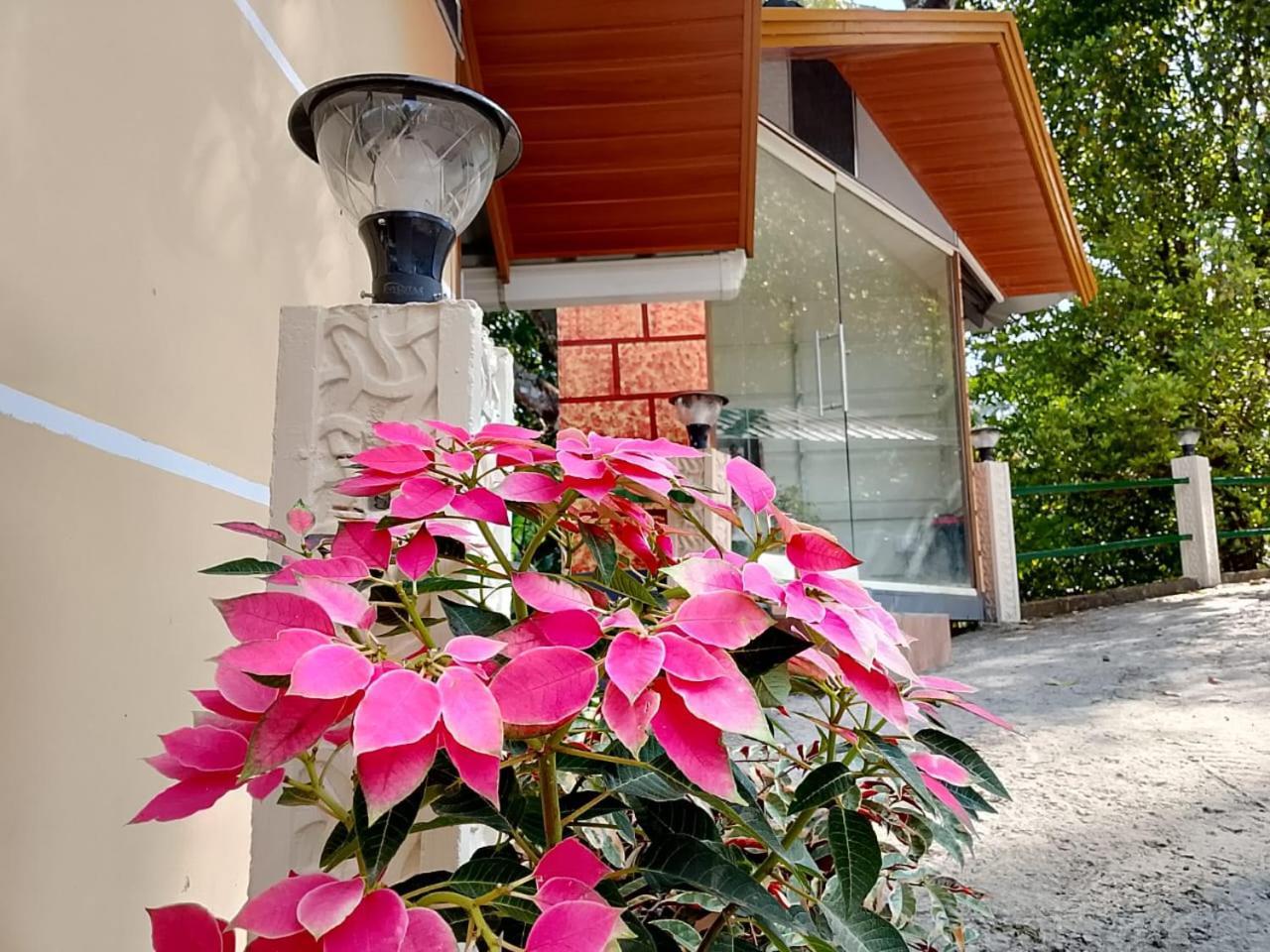 Cloudscape Homestay Pīrmed エクステリア 写真